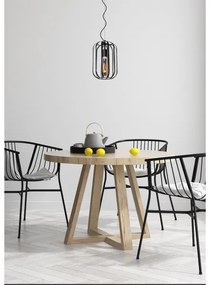 Lucide 25409/01/30 - Csillár zsinóron FERN 1xE27/60W/230V