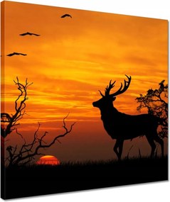 Vászonkép 40x40 Szarvas és naplemente
