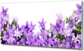 Fotó üvegkép Jázmin nagyobb 125x50