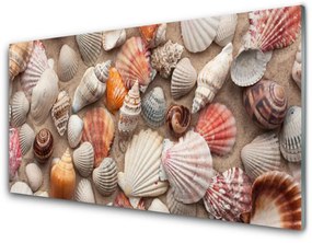 Akrilkép Kagylók Sand Art 100x50 cm