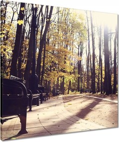 Vászonkép 60x60 Városi park Tájkép