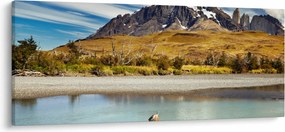 Kép - Torres del Paine Nemzeti Park (120x50 cm)