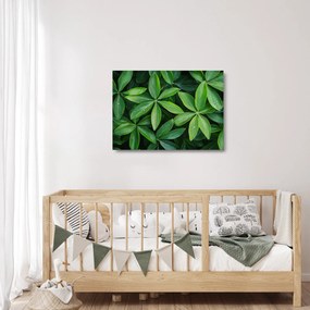 Üveg kép - Levelek harmatcseppekkel (70x50 cm)