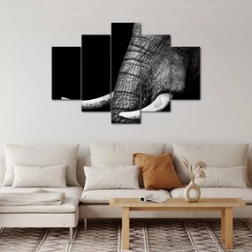 Kép - Elefánt agyar (150x105 cm)