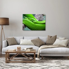 Zöld kígyók képe (üvegen) (70x50 cm)