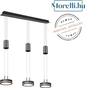 TRIO 326510342 FRANKLIN Többágú Függesztett Lámpa LED IP20
