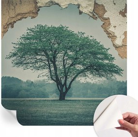 Modern öntapadós fotótapéta falra Magányos fa 250x250 cm