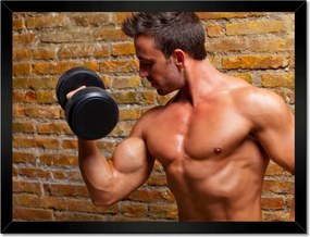 Poszterek keretben 40x30 Izomgyakorlatok Súlyzó