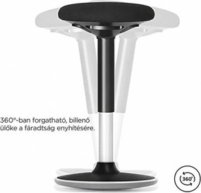 Irodai szék, ergonomikus szék, 56-81 cm magasságban állítható, fekete