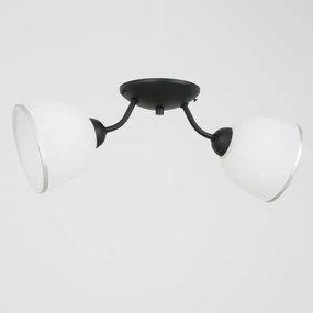 Mennyezeti lámpa AVIA 2xE27/60W/230V