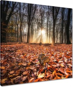 Vászonkép 50x50 Kihalás fenyegeti