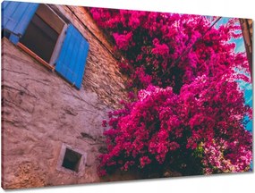 Vászonkép 90x60 Férfi Erő