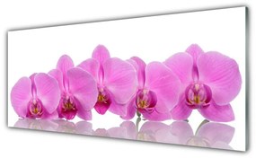 Modern üvegkép Rózsaszín orchidea virágok 125x50 cm