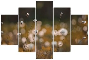 Kép - Gyapotfűvel borított rét N⁰2 (150x105 cm)