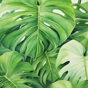 Poszter 50x50cm A levelek titkai