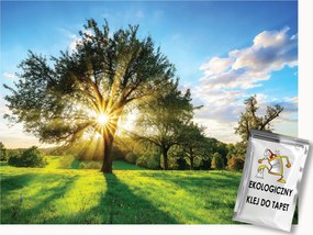 Fotótapéta Flizelina Tájkép Természet Fa Nap Mező 200x140 ragasztó