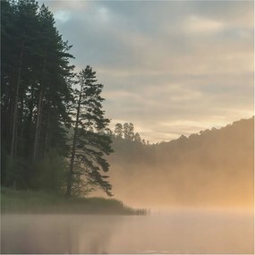 Flizelin tapéta Divatos 3D fali ragasztóval Ködös reggel 250x250 Ragasztó