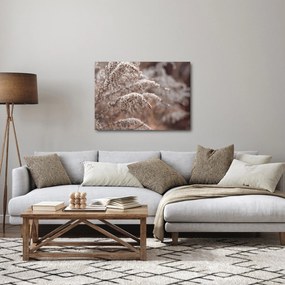 A növények képe (70x50 cm)