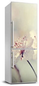 Hűtő matrica Cseresznye virágok FridgeStick-70x190-f-102906126