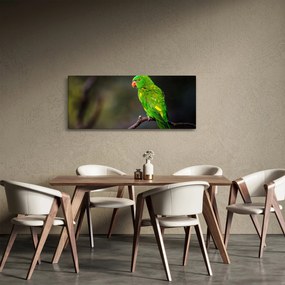 Papagáj egy ágon képe (120x50 cm)