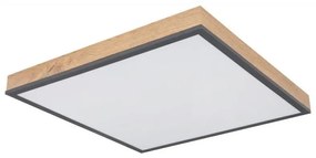 Globo 416080WD2 - LED Mennyezeti lámpa DORO LED/24W/230V