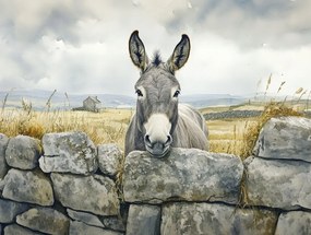 Vászonkép Canvas Tájkép Írország Fal Szamár Természet 100x75