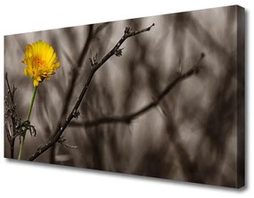 Vászonfotó ág Virág 120x60 cm