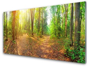 Üvegfotó Sun-erdő Természetvédelmi Path 120x60cm 2 fogas