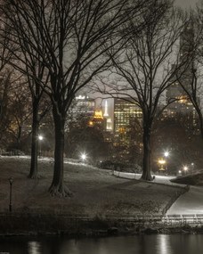 Poszter 40x50cm Central Park éjszaka, Assaf Frank