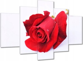 Vászonkép 150x105 Vörös rózsa a hóban