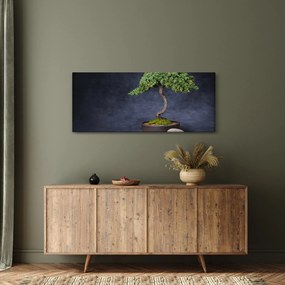 Kép - Bonsai (120x50 cm)