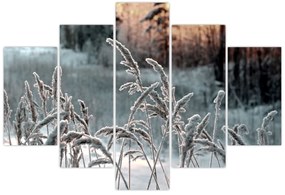 Kép - Fagyott rét (150x105 cm)