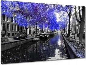 Festmények 120x80 Búzavirág Amszterdam