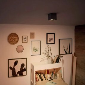 Philips 50491/30/P0 - LED Dimmelhető lámpa MYLIVING BOX 1xLED/4,5W/230V