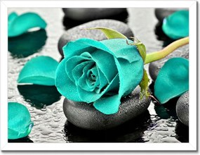 Poszter keretben 40x30 Türkiz rózsa