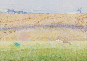 Flizelin fotótapéta Flizelin Design Nyári mező 312x219 Ragasztó