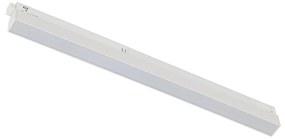 LVM Line LED