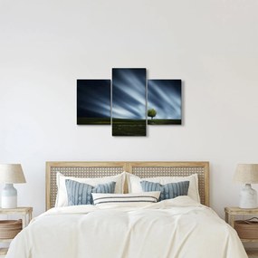 Az aurora borealis képe egy lápvidéken (90x60 cm)