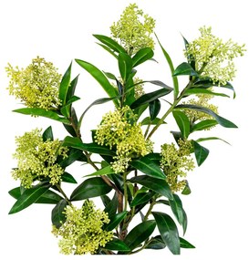 Skimmia fa műnövény 75 cm