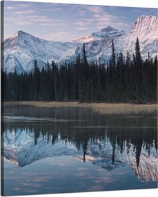 Vászonkép Tópart Víz Erdők Hó hegyek 80x100 cm