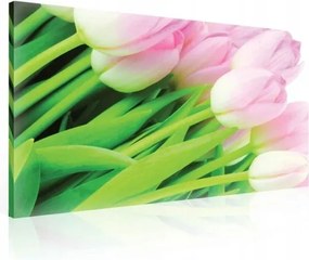 Vászonkép 100x75 Finomság frissesség tavasz tulipán rózsaszín csendélet