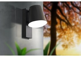Eglo 97146 - kültéri fali lámpa CALDIERO 1xE27/10W/230V