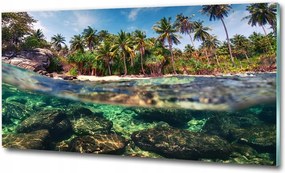 Fotótapéta falra edzett üveg Szőlőbirtok 100x70