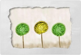 Poszterek 120x80 Sárga a lime között