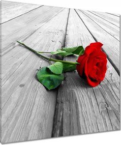 Vászonkép 80x80 Vörös rózsa a deszkákon