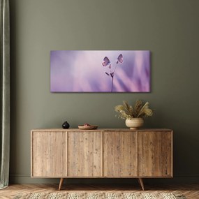 Kép - Lila pillangók (120x50 cm)