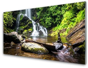 Üvegkép Forest Stream vízesés Természet 125x50 cm 2 fogas