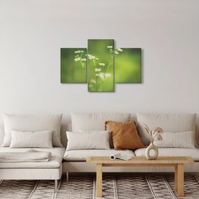 Egy százszorszép képe (90x60 cm)