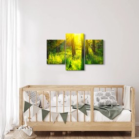 Kép - Az erdő tavaszi ébredése (90x60 cm)