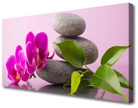 Vászonkép Zen Virág orchidea növény 125x50 cm